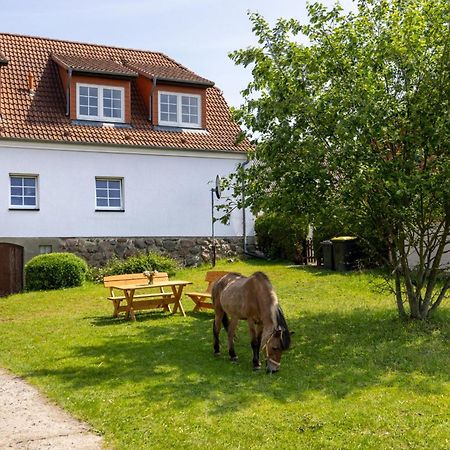 Ferienwohnung "Flori'S Ponyhof" Kropelin Bagian luar foto
