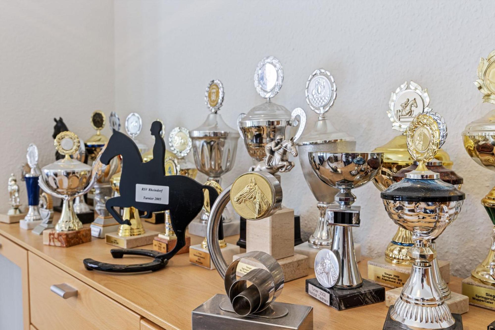 Ferienwohnung "Flori'S Ponyhof" Kropelin Bagian luar foto